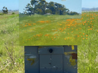 Art-of-Jerarde-Gutierrez