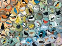 Bird-vs.-Bird-Designs-min Bird-vs.-Bird-Designs-min