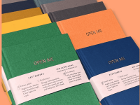 Brick-Factory-Designs