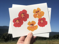 Sophie-Tivona-Illustration