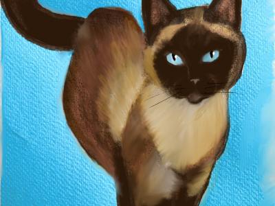 Carrie-Lee-McClish-min