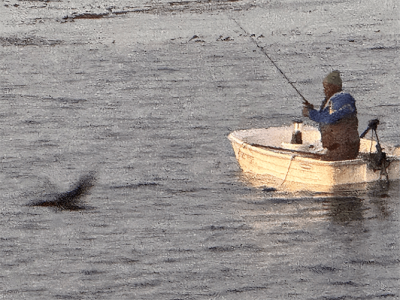 Janet-Marie-Sheard-min