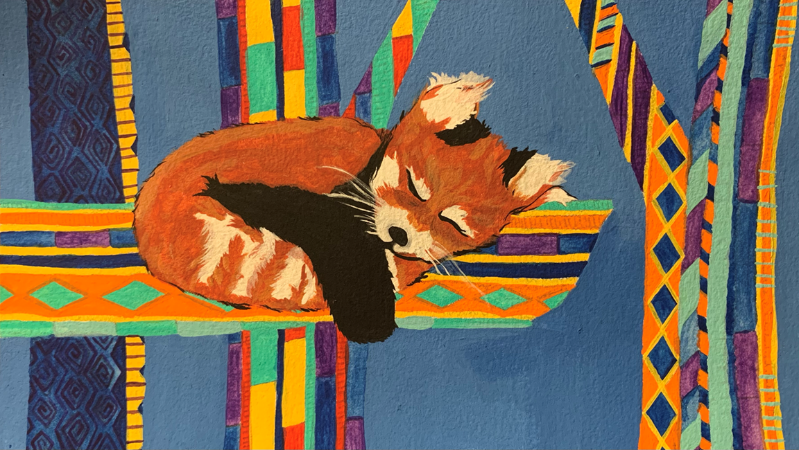 Savannah Holgado, Grade 11, Ring Tailed Panda, 2020