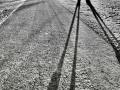 Taryn Collins, Grade 9, Shadows, 2021