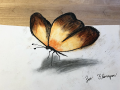 Zoe  Flanagan, Grade 8, Butterfly, 2020