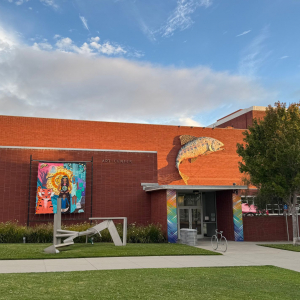 Press Release: Jeff Nathanson Named Interim Executive Director of Richmond Art Center