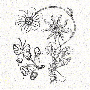 Press Release: Spring Family Day - Art-making fun served family style!