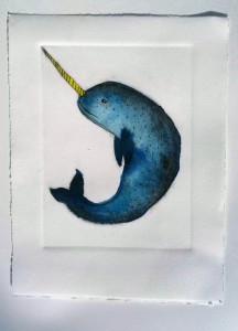 claire narwhal