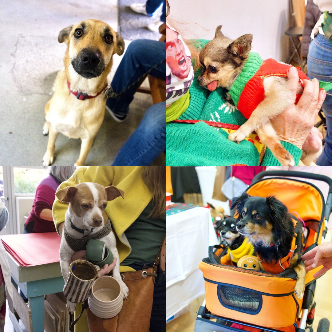 Dogs of the Holiday Arts Festival 2022