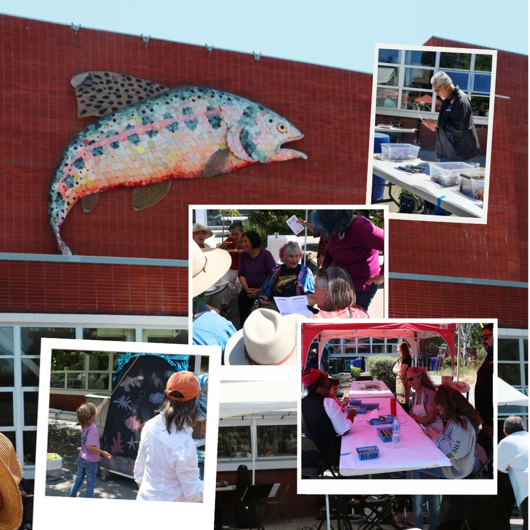 Go Fish! Photo Collage 2023
