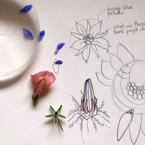 julia beery